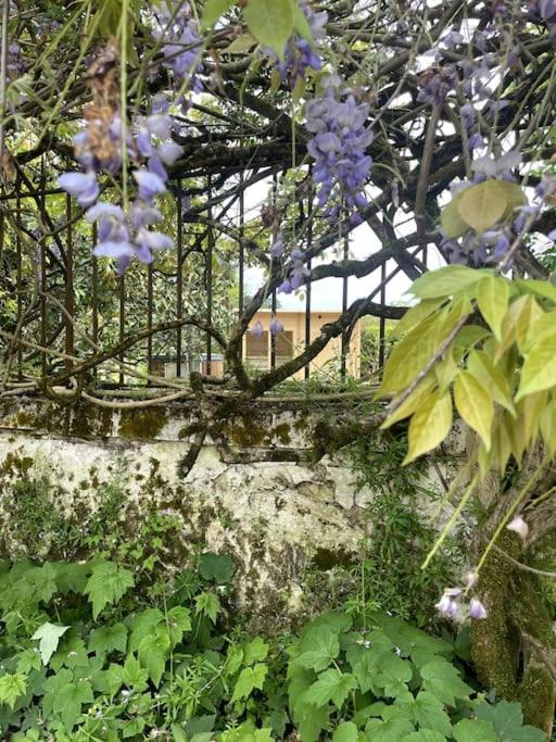 Gite Lilas Ideal Pour 4 Pers Capian Kültér fotó